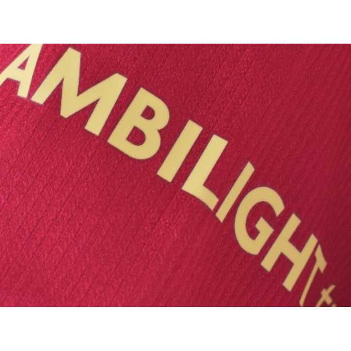 Camiseta Home FCB 24-25 Eric Camiseta Home FCB 24-25 Eric